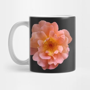 Pretty Garden Rose Mug